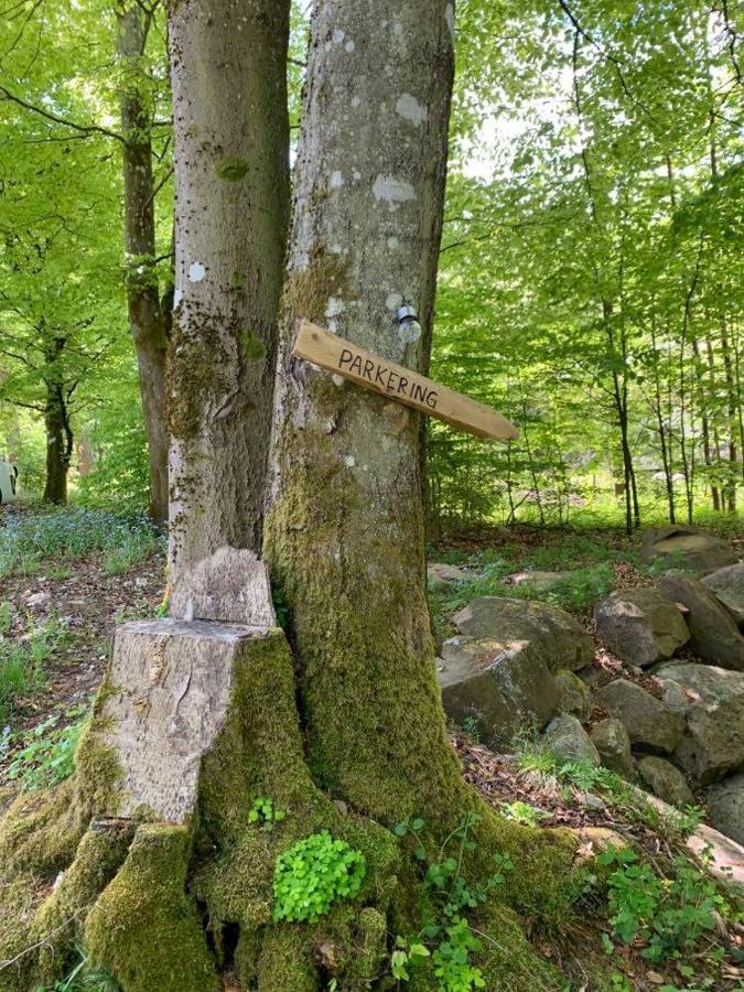 Skogshoejda Tjornarp Экстерьер фото